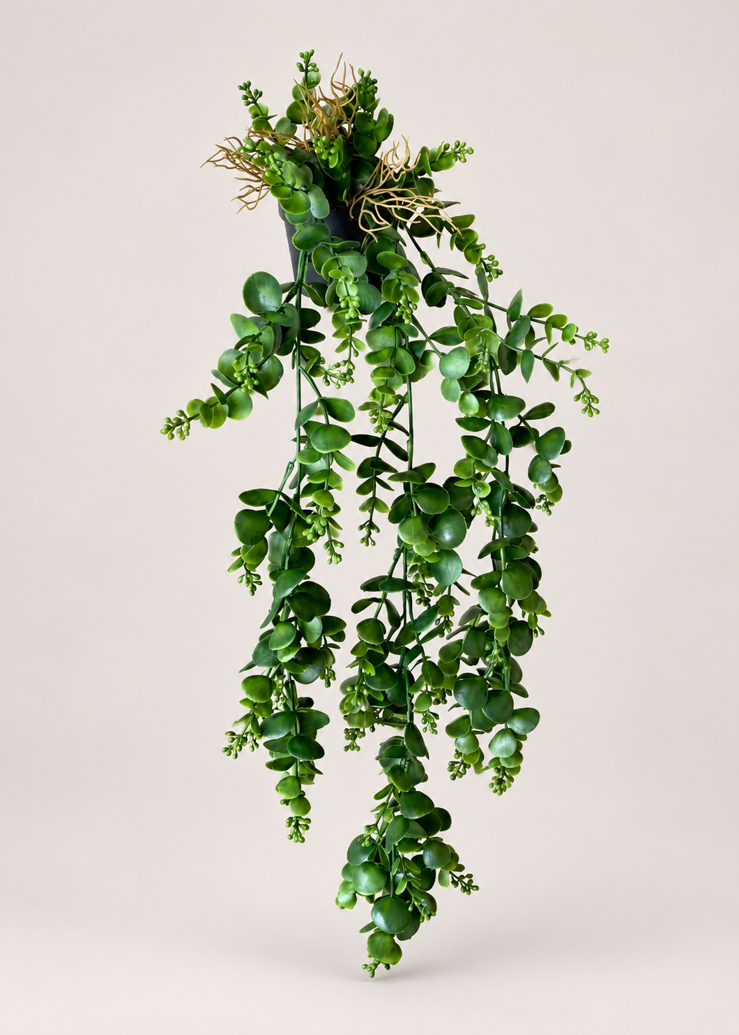 Artificial Cascading Eucalyptus Plant