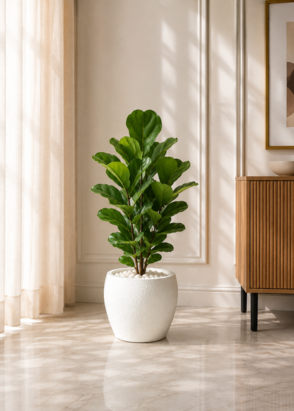 Valence Planters - Chalk White
