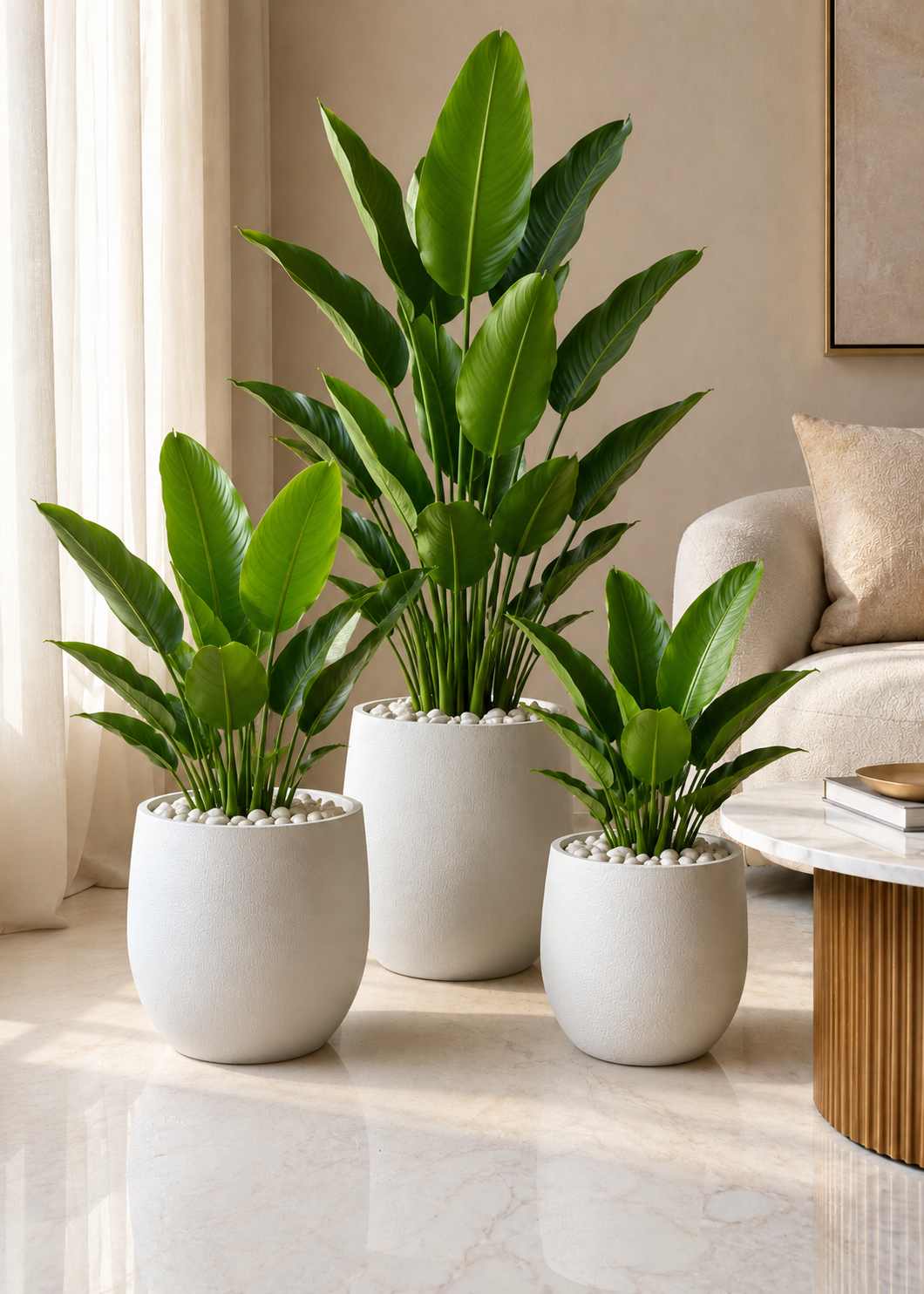 Vana Planters - Ivory