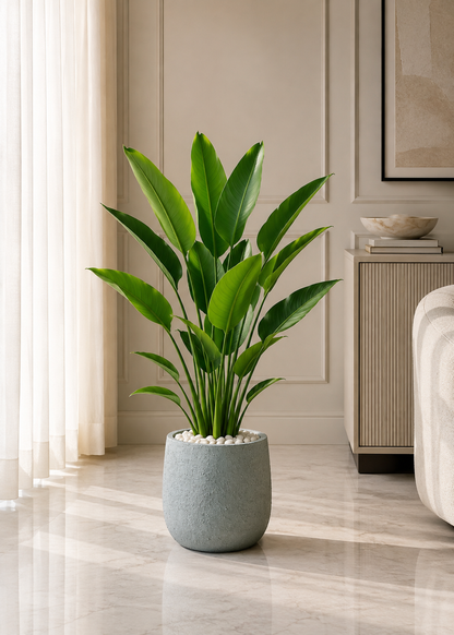 Noa Round Planters - Light Grey