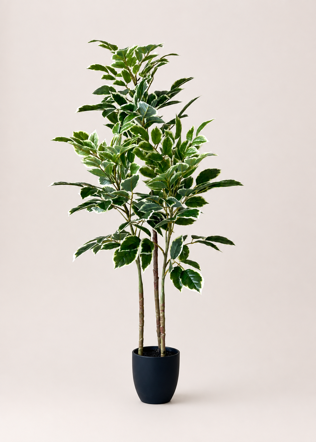 Artificial Benjamin Ficus Plant - 4 Feet