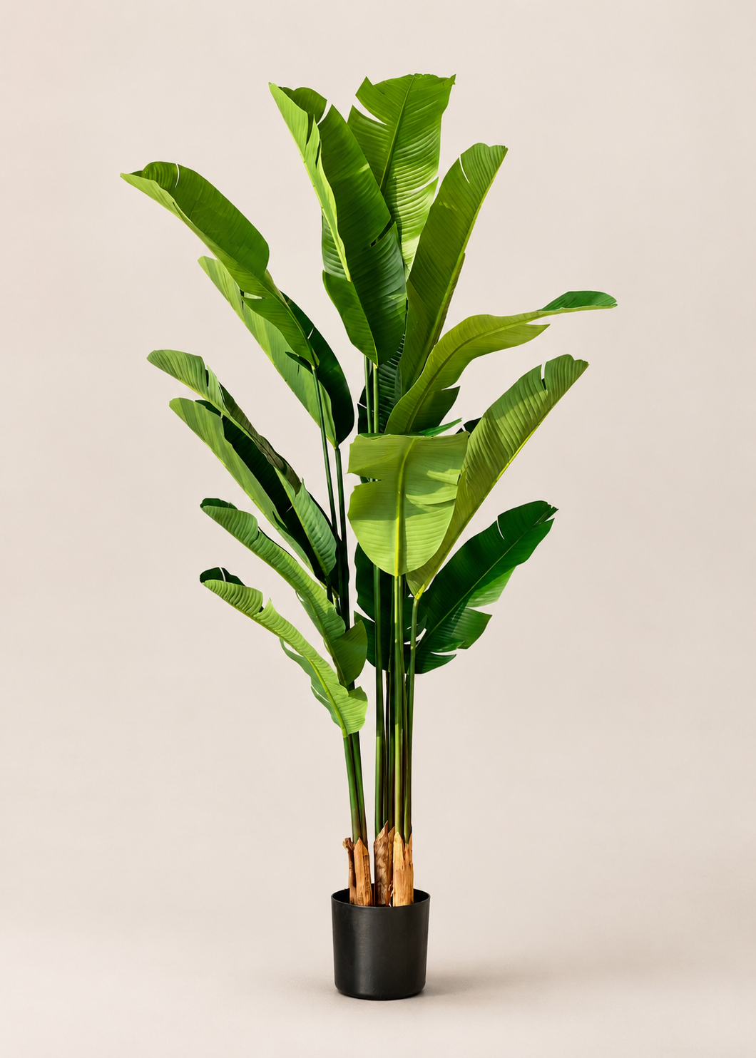 Artificial Coastal Palm Plant - 6 Feet