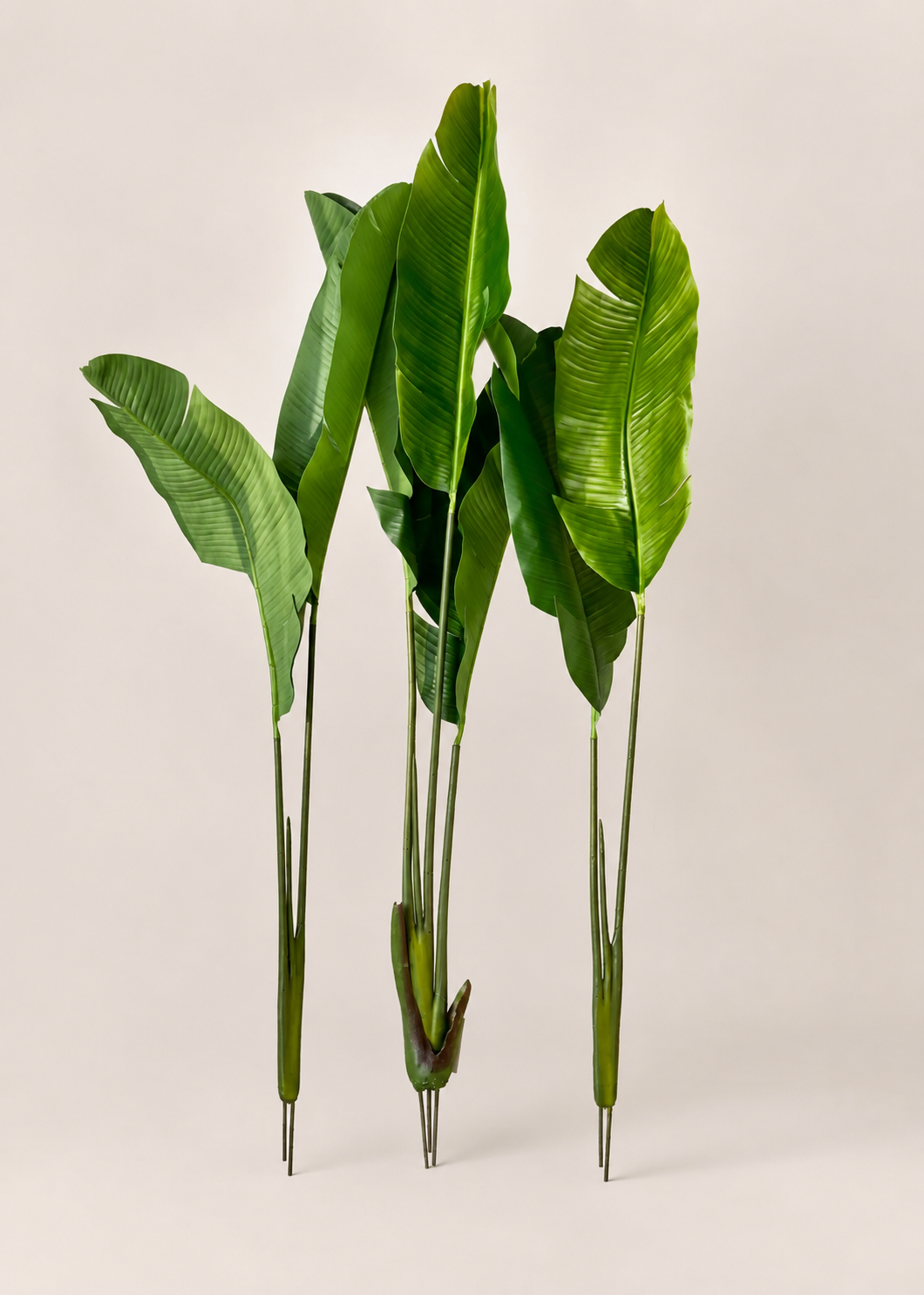 Artificial Coastal Palm Plant - 4 Feet