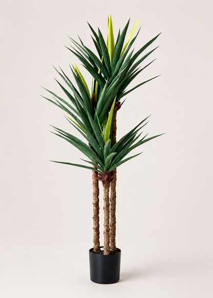 Artificial Arlo Yucca Plant - (5 Feet)
