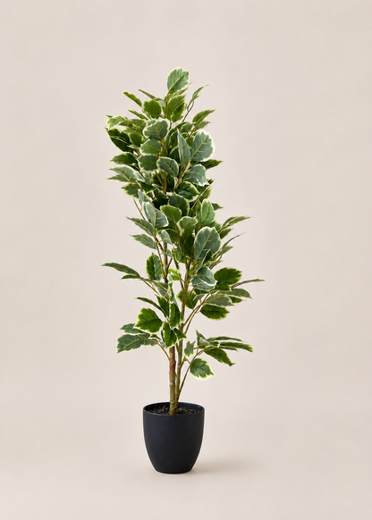 Artificial Benjamin Ficus Plant - 3 Feet