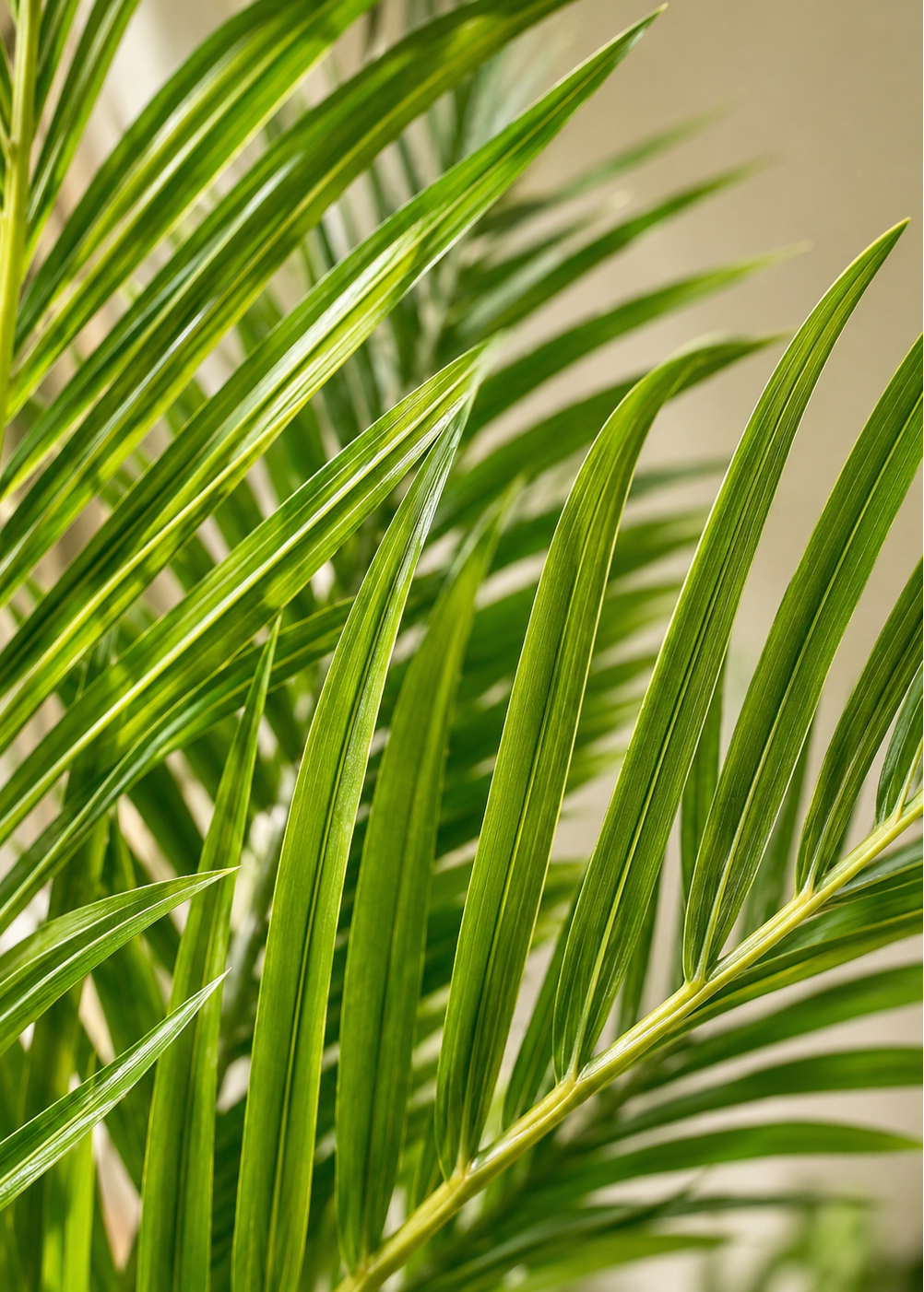 Artificial Areca Bamboo Palm - 5 Feet