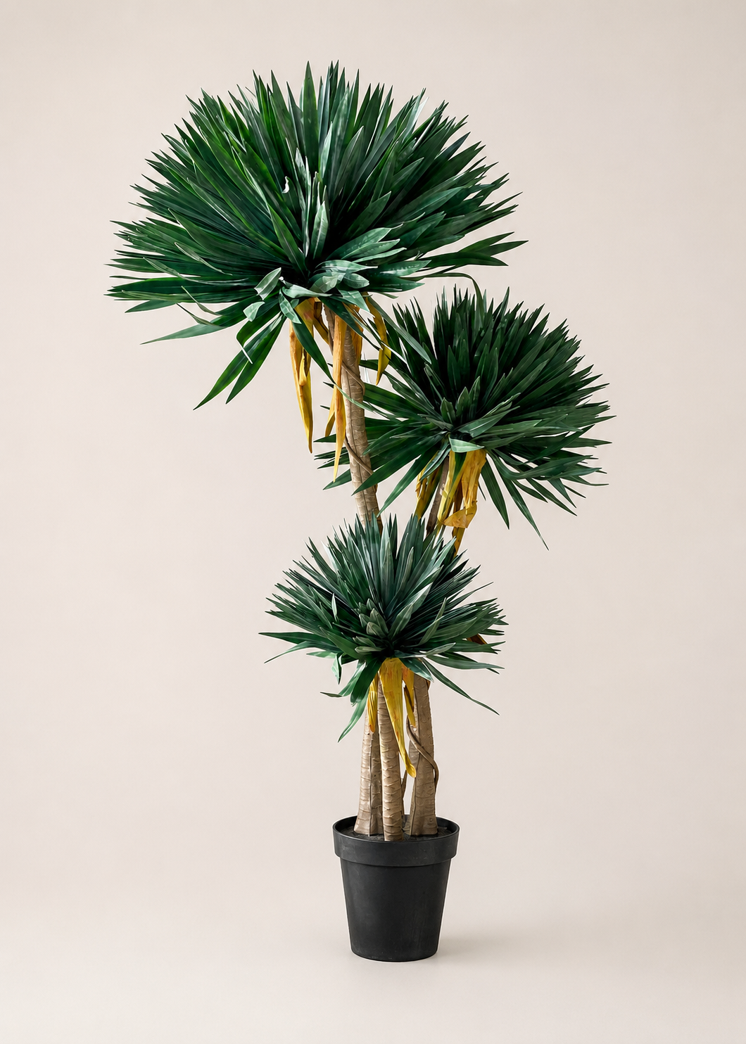 Artificial Sisal Triora Plant - 5 Feet