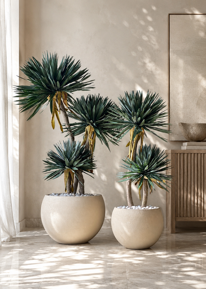 Artificial Sisal Triora Plant - 5 Feet