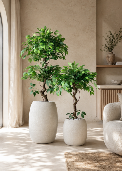 Artificial Banyan Plant - 5 Feet
