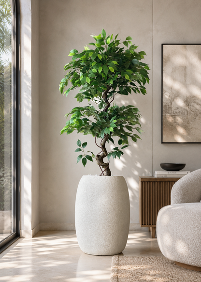 Artificial Banyan Plant - 5 Feet
