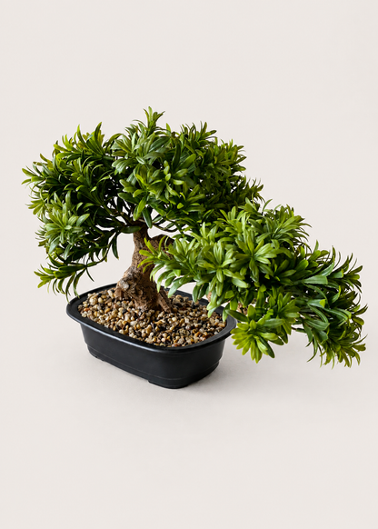 Artificial Pine Bonsai Plant - Medium