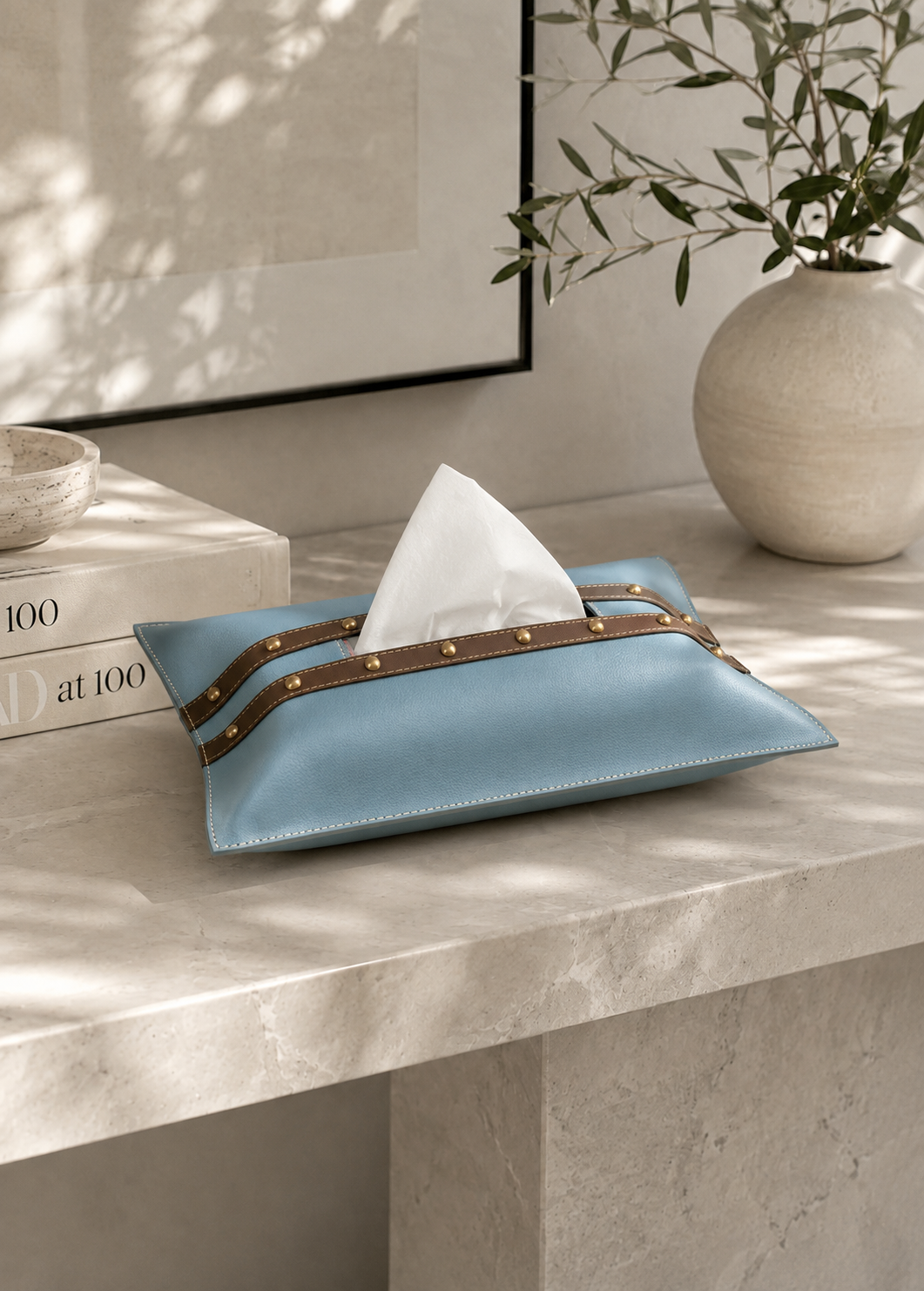Blue &amp; Brown Tissue Cover