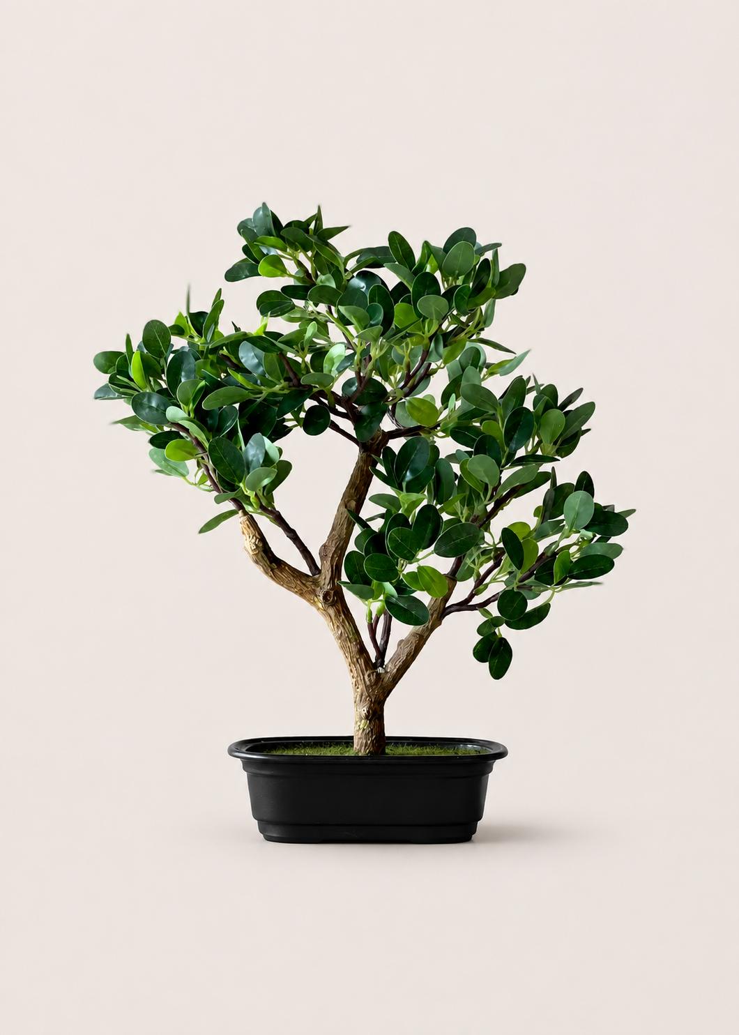 Artificial Chinese Boxwood Plant - 1.3 Feet