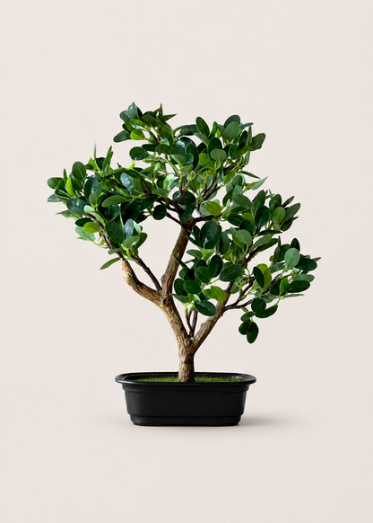 Artificial Chinese Boxwood Plant - 1.3 Feet