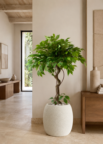 Artificial Banyan Plant - 4 Feet