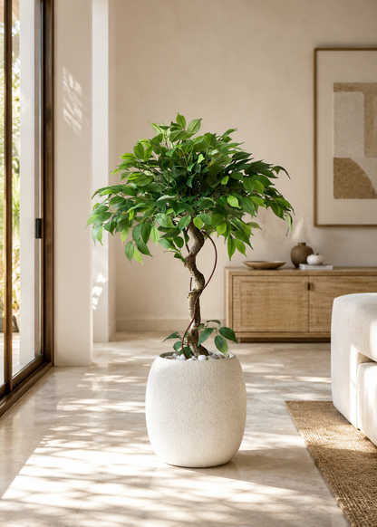 Artificial Banyan Plant - 4 Feet