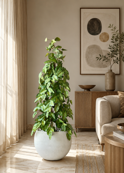 Artificial Money Plant - 4 Feet