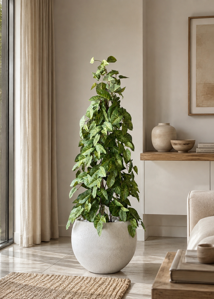 Artificial Money Plant - 4 Feet