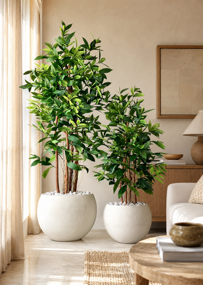 Artificial Dracaena Surculosa Plant - 6 Feet
