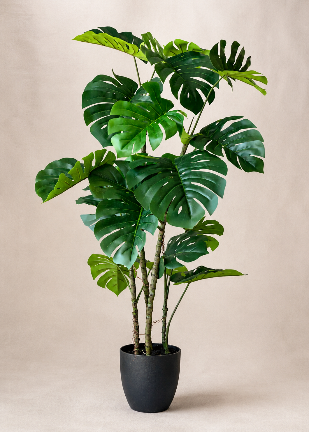 Artificial Arched Monstera Plant - 4 Feet