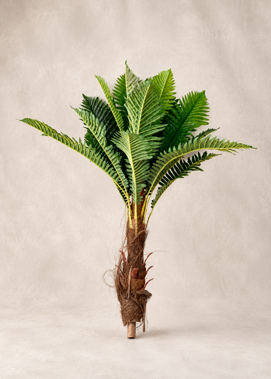 Artificial Tropica Fern Palm Tree - 3 Feet