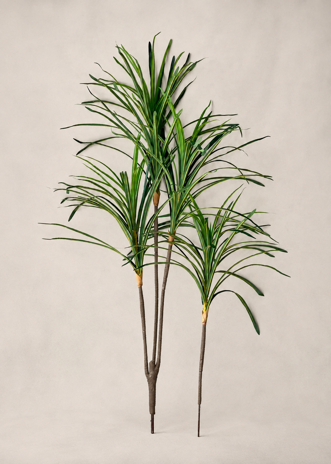 Artificial Serene Dracaena Plant - 4 Feet