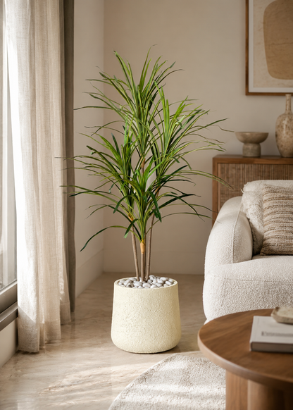 Artificial Serene Dracaena Plant - 4 Feet