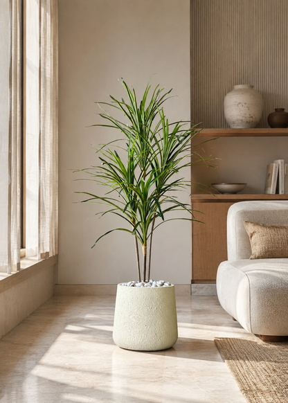 Artificial Serene Dracaena Plant - 4 Feet
