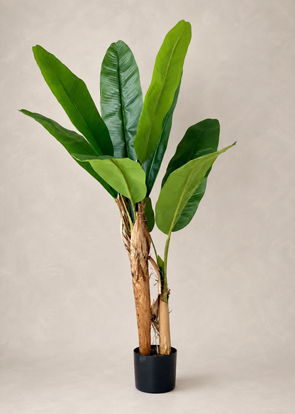 Artificial Musa Palm Plant - 4 Feet