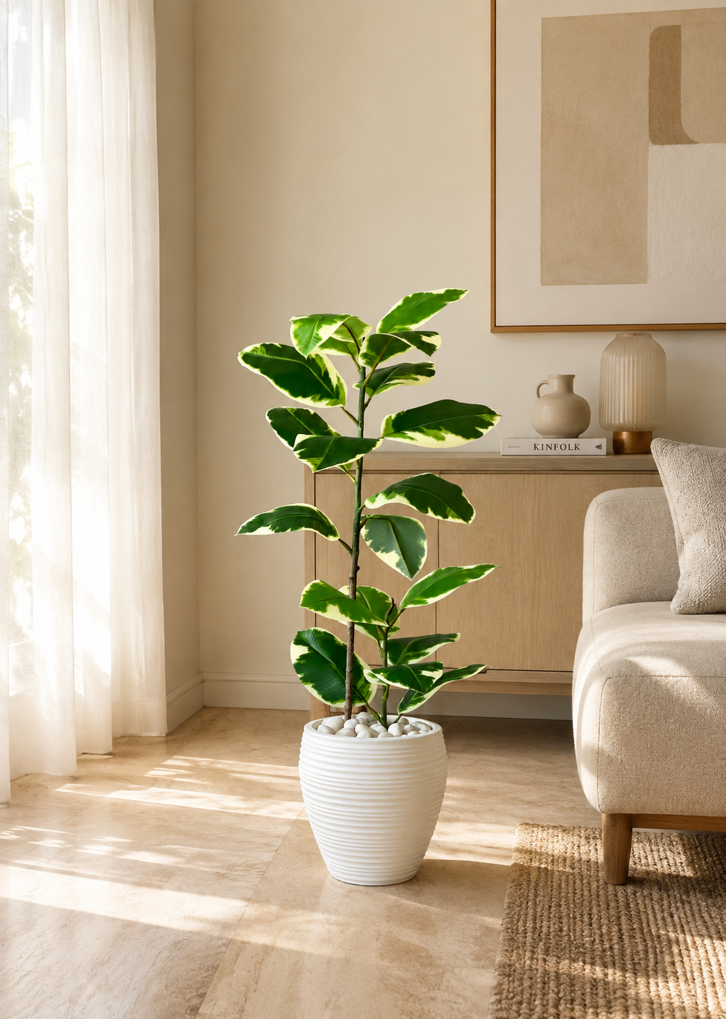 Artificial Variegated Rubber Plant - 2.5 Feet