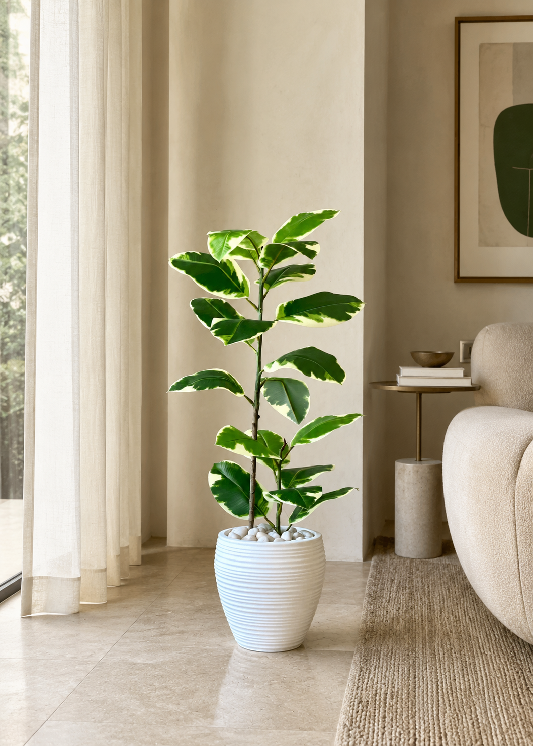 Artificial Variegated Rubber Plant - 2.5 Feet