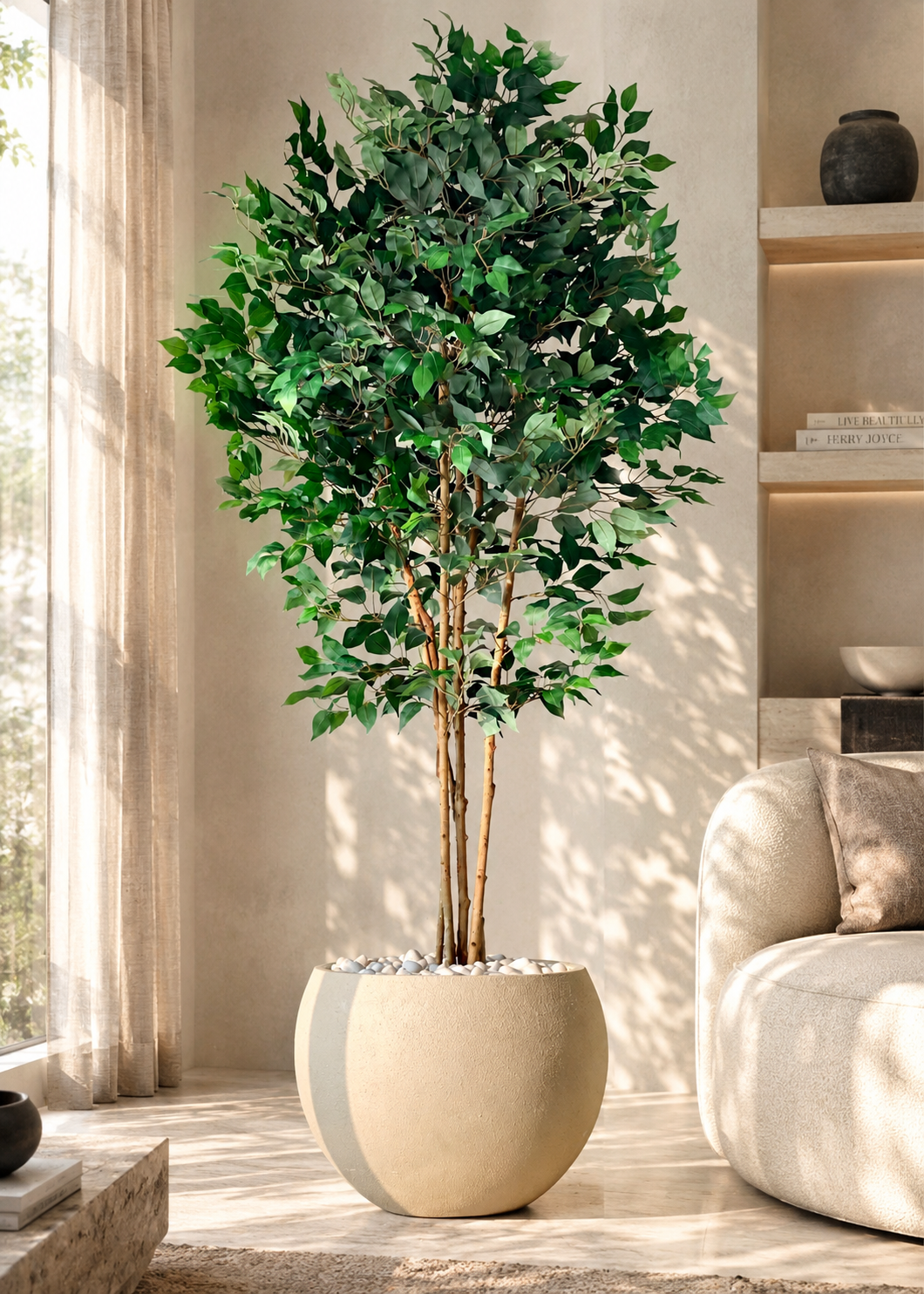 Artificial Aurora Ficus Plant - 7 Feet