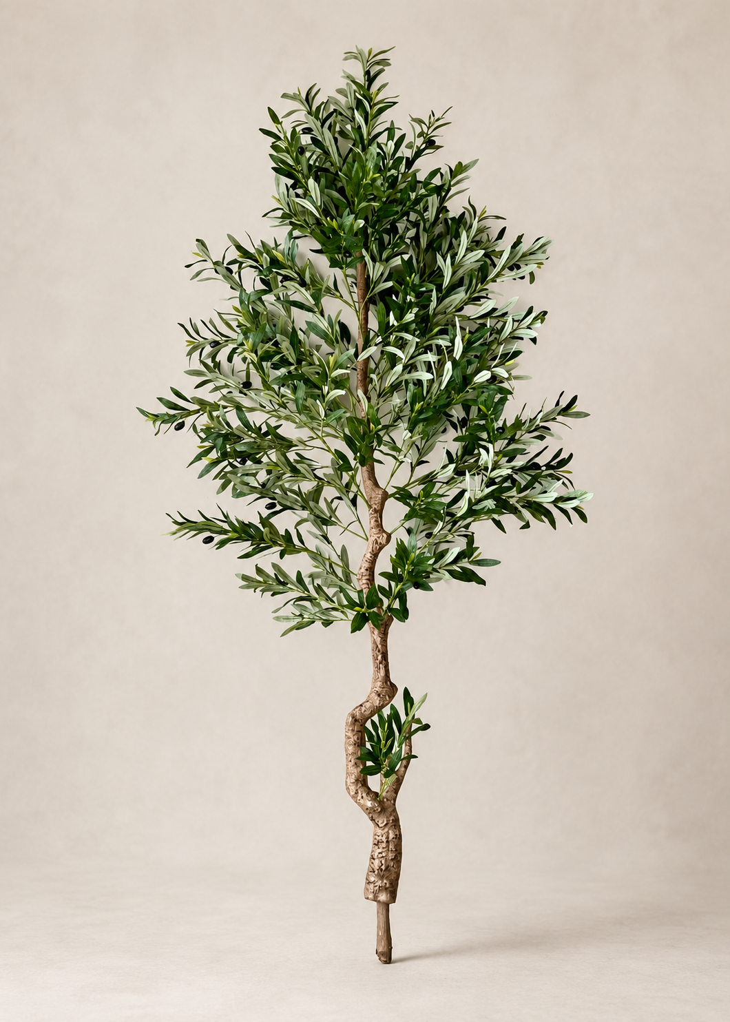 Artificial Evergreen Olive Plant - 6.5 Feet