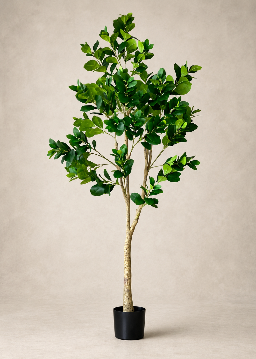 Artificial Lush Peperomia Plant  - 6 Feet