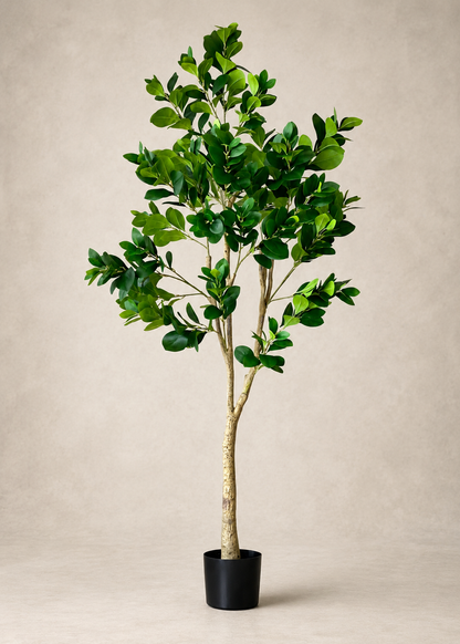 Artificial Lush Peperomia Plant  - 6 Feet
