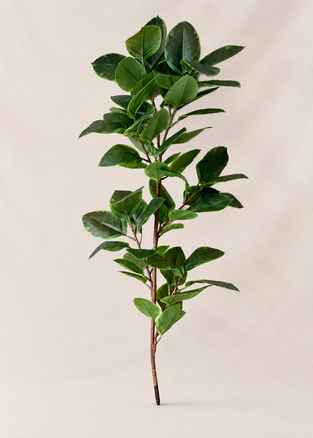 Artificial Leafy Rubber Plant - 5.5 Feet