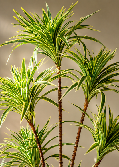 Artificial Spider Palm Tree (4 Feet)