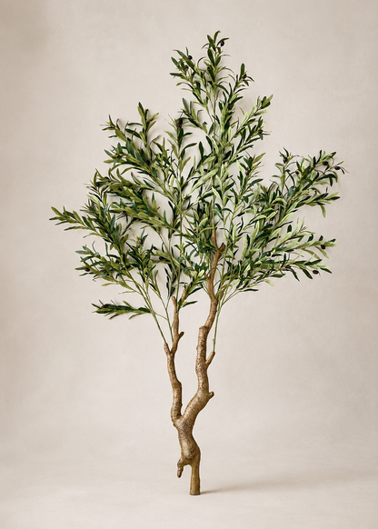 Artificial Olive Serene Plant - 6 Feet