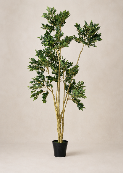 Tropical Ficus Artificial Tall Plant - 6.5 Feet