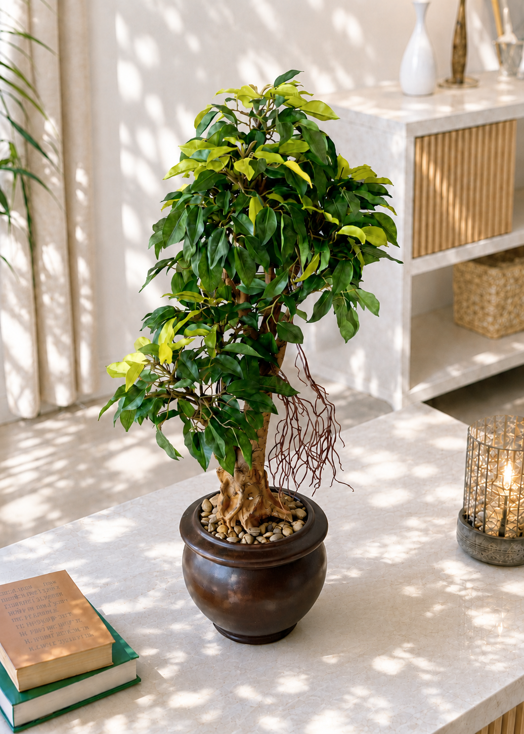 Artificial Regal Ficus Bonsai Plant - 2 Feet