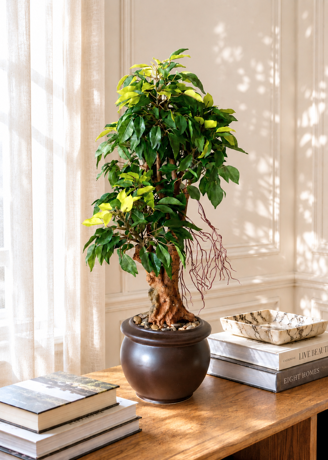 Artificial Regal Ficus Bonsai Plant - 2 Feet
