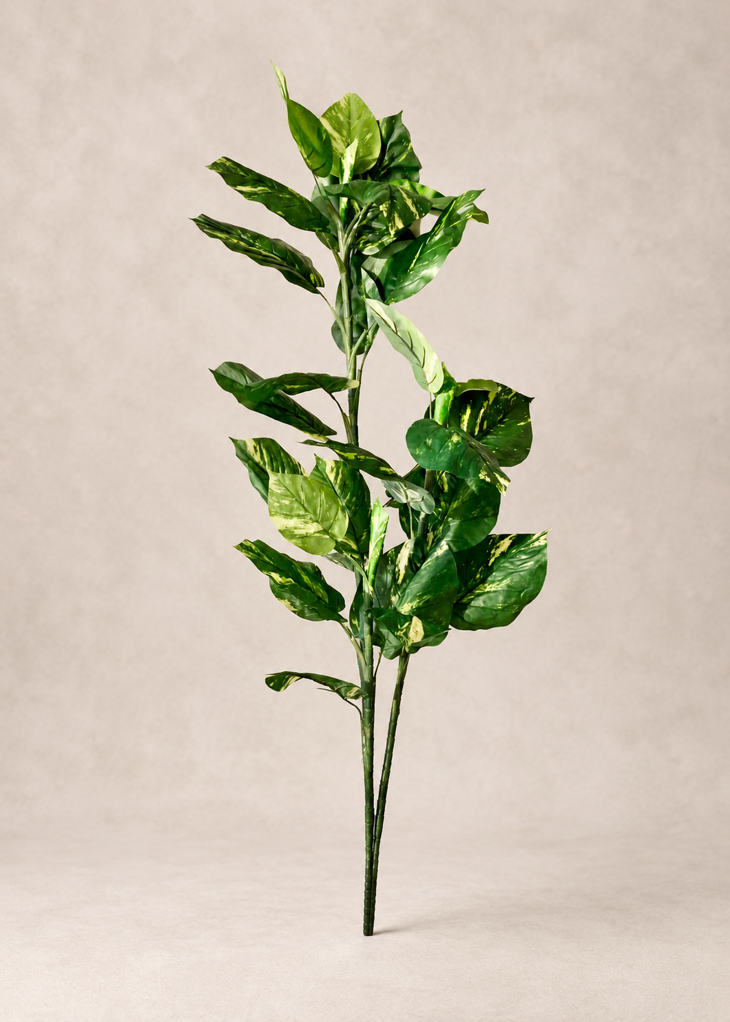 Artificial Variegated Pothos  Plant - 5 Feet