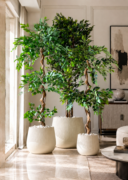 Cassan Planters Ivory