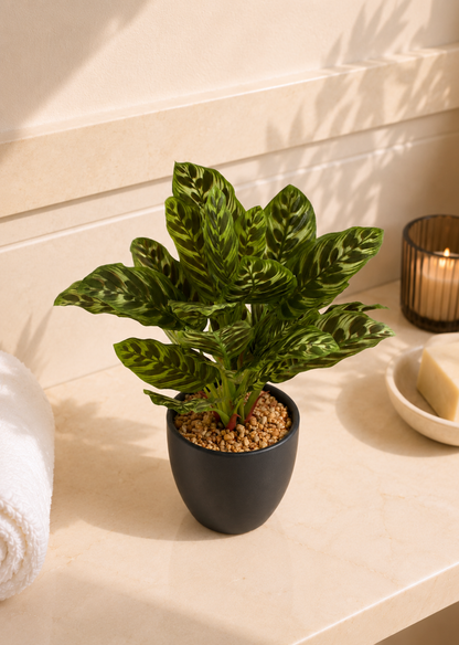 Artificial Calathea Plant
