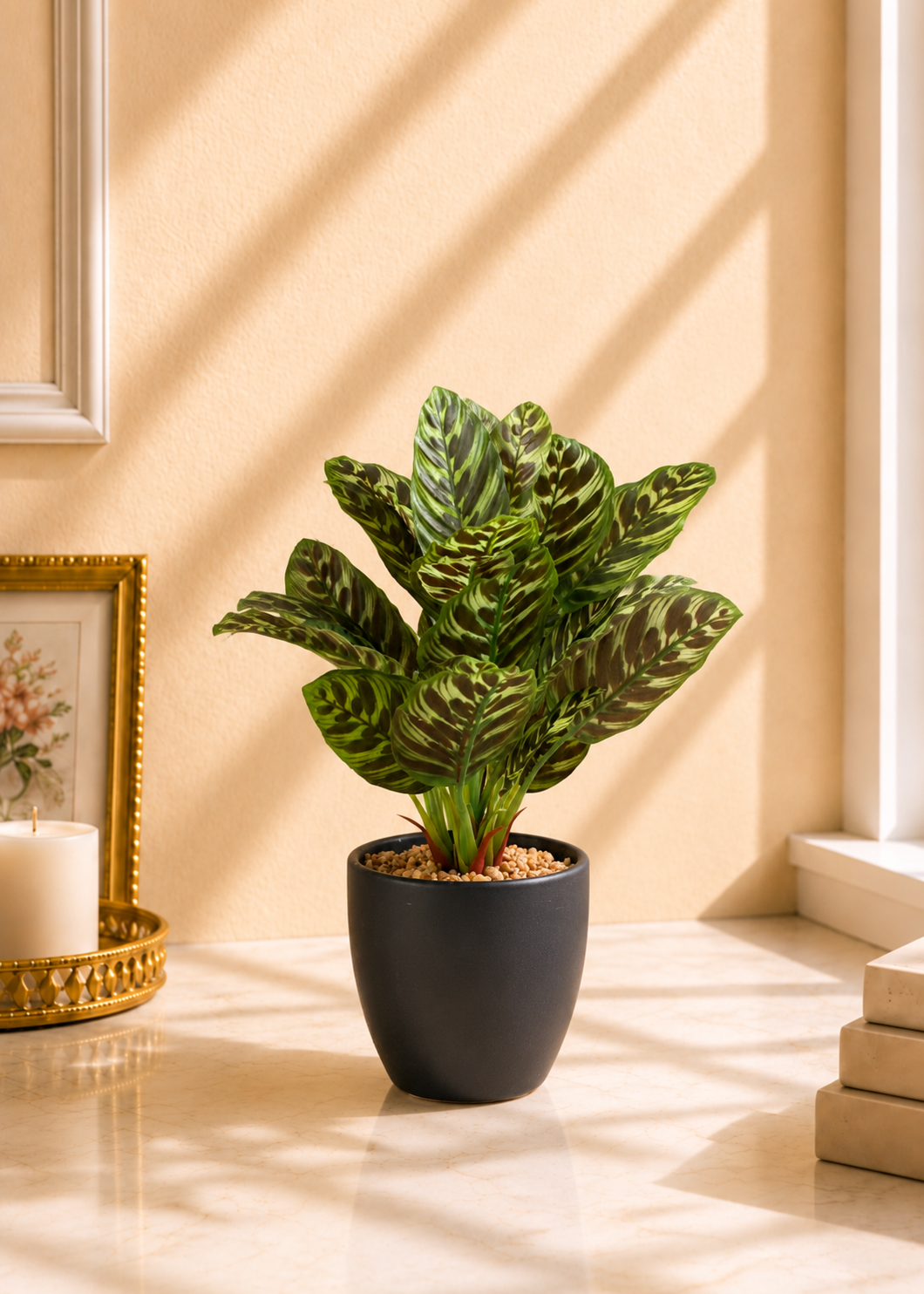 Artificial Calathea Plant