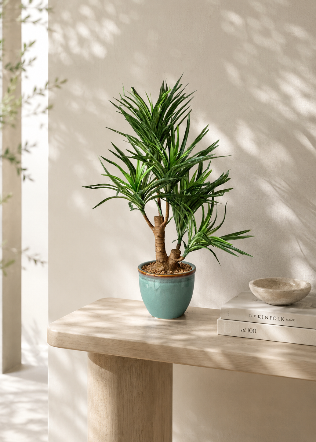 Artificial Green Dracaena Cane Plant - 2 Feet