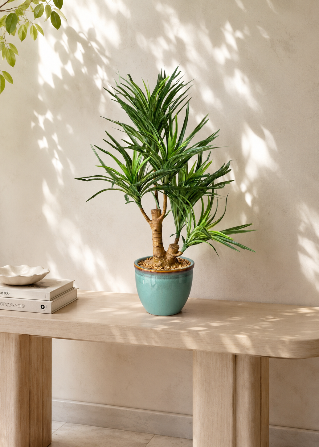 Artificial Green Dracaena Cane Plant - 2 Feet