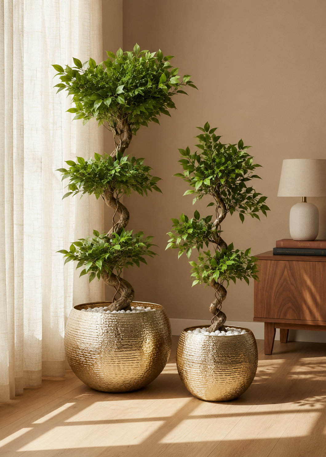 Halo Gold Ring Round Planters