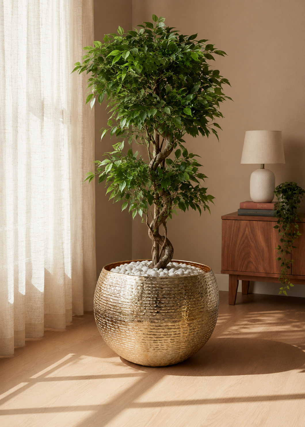 Halo Gold Ring Round Planters