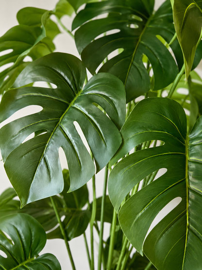 Artificial Botanic Monstera Plant- 2 Feet